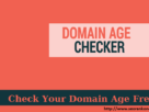 Domain Age Checker