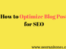 How to Optimize Blog Post for SEO
