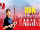 Consultant for Canada Study Visa