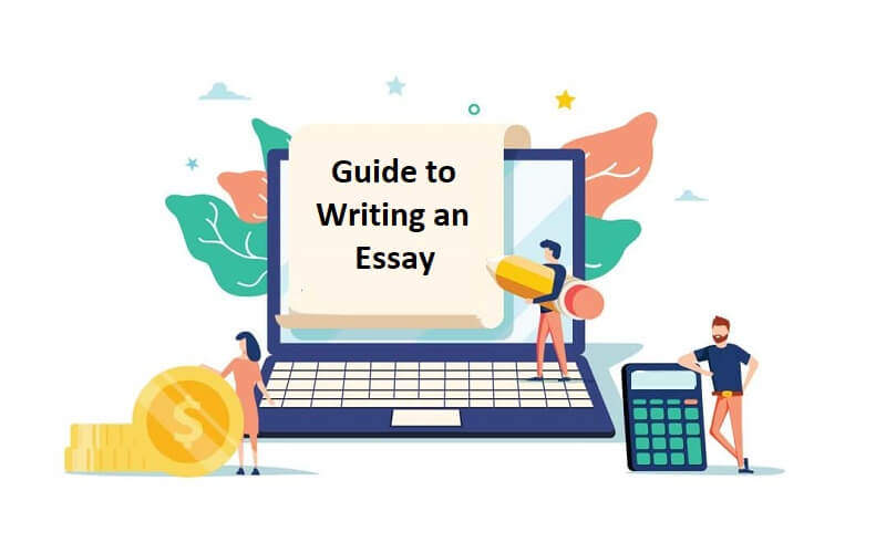 Guide to Writing an Essay