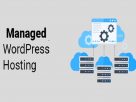 managed WordPress hosting