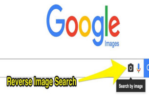 reverse image search