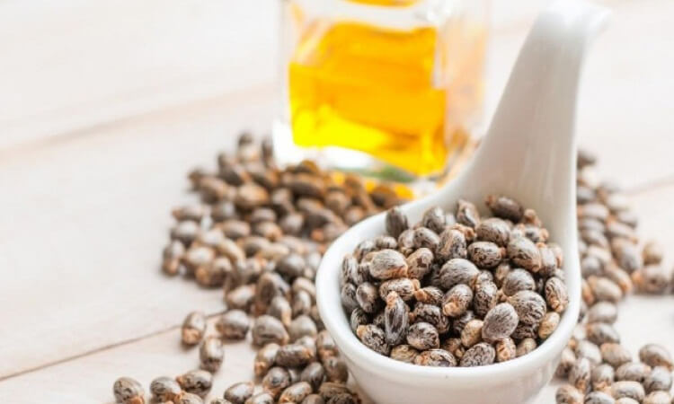 Castor Oil Derivatives